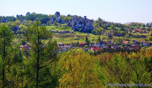 Podzamcze - Zamek Ogrodzieniec - widok z Góry Birów