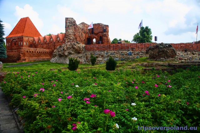 ruiny zamku krzyżackiego w Toruniu