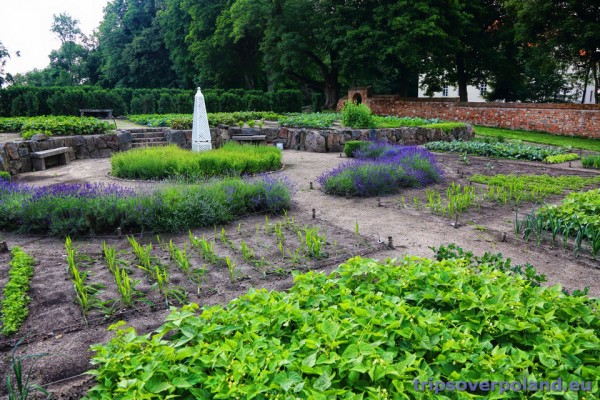 Nakomiady -  ogród warzywny