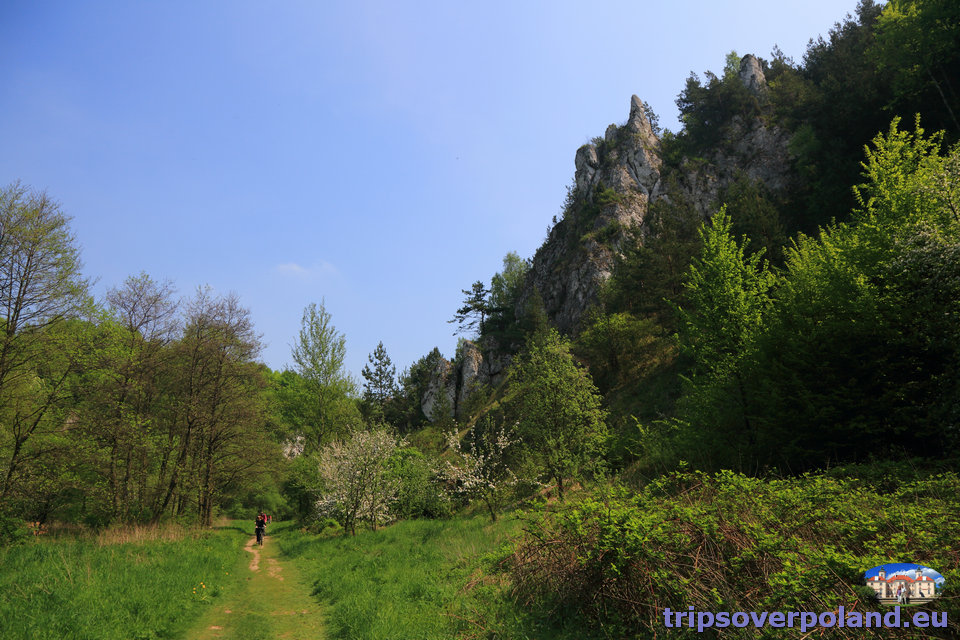 Dolina Będkowska i Dolina Kobylańska – blisko i pięknie